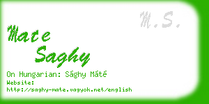 mate saghy business card
