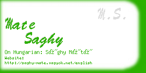 mate saghy business card